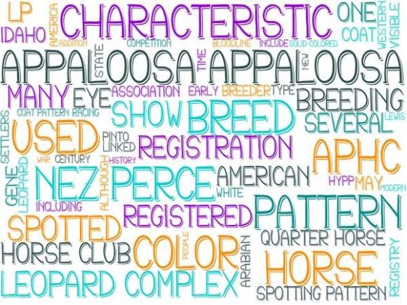 Appaloosa Wordcloud Tshirt Design