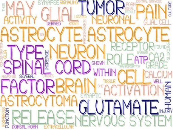 Astrocyte Wordcloud Sticker: Your Versatile Design Catalyst