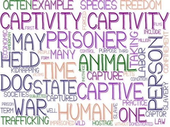 Captivity Wordcloud Book Cover: A Versatile Design Resource for Creative Professionals