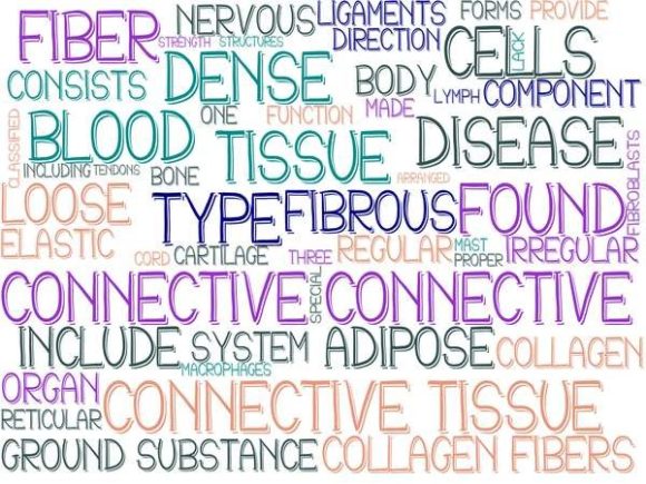 Connective Wordcloud Book Cover
