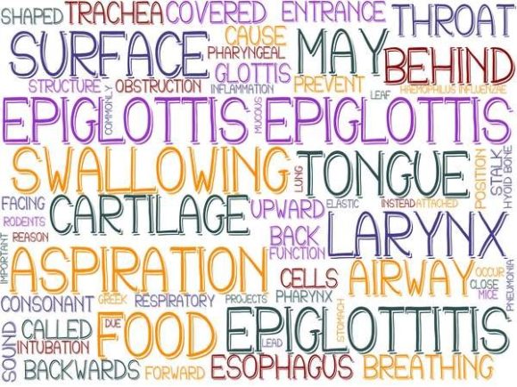 Epiglottis Wordcloud Advertising: Where Linguistic Precision Meets Visual Impact