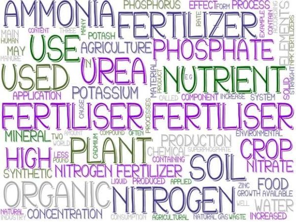 Fertiliser Wordcloud Book Cover