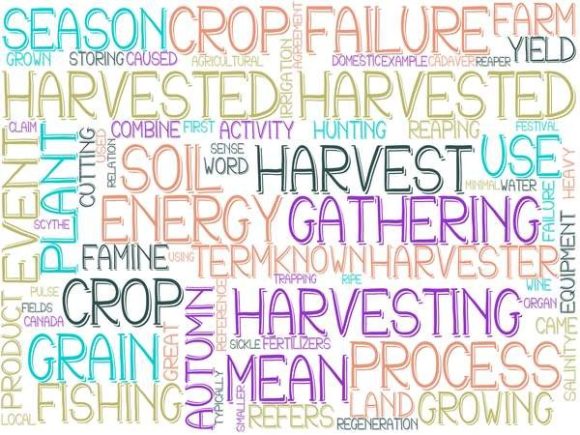 Harvested Wordcloud Sublimation Tumbler: Your Versatile Creative Catalyst
