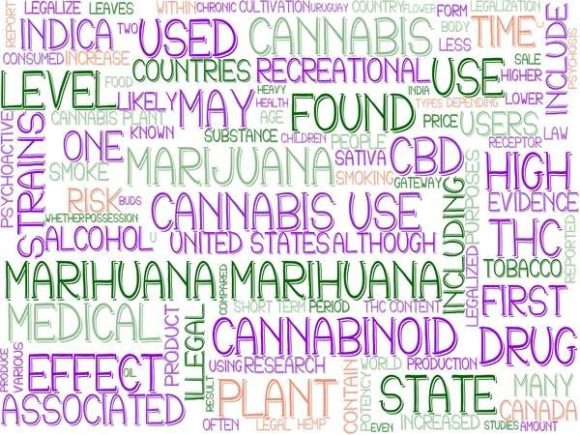 Marihuana Wordcloud Book Cover: A Versatile Design Resource for Creative Projects