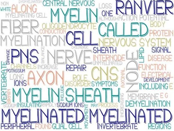 Myelinated Wordcloud Tie Dye