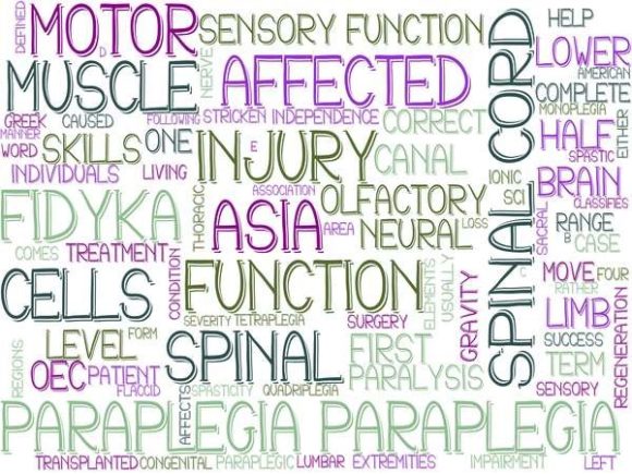 Paraplegia Wordcloud Tshirt